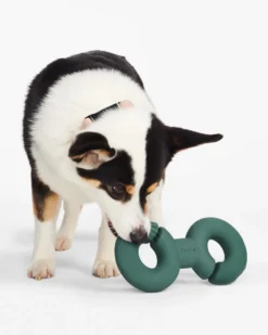 FABLE Twin Falcon Interactive Dog Toy -Pet Sale Shop 2 fa4ec734 0214 4b94 80d2 bf03b8e0ee28