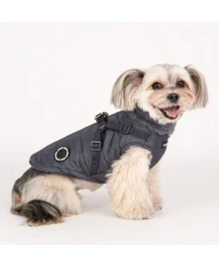 PUPPIA Donavan Winter Harness Dog Jacket (FINAL SALE) -Pet Sale Shop 2 fb613845 6ae2 4178 9380 a9582fb07c1a