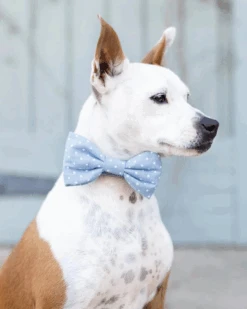 THE FOGGY DOG Chambray Dots Dog Bow Tie (Made In The USA)