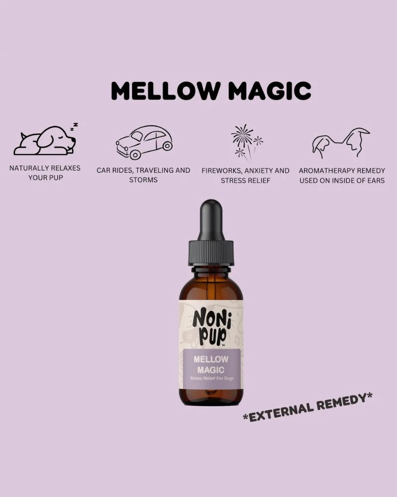 NONIPUP Mellow Magic Soothing Serum For Dogs 2 NONIPUP Mellow Magic Soothing Serum For Dogs - Image 2