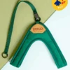 CHARLIE'S BACKYARD Adjustable Easy Dog Harness In Green