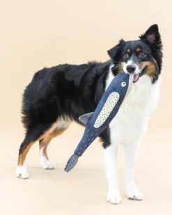 PETSHOP There She Blows Canvas Whale Dog Toy 8 PETSHOP There She Blows Canvas Whale Dog Toy -Pet Sale Shop 38 51837f34 8401 4d65 9513 1ce6beb708c5