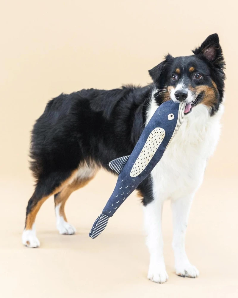 PETSHOP There She Blows Canvas Whale Dog Toy 3 PETSHOP There She Blows Canvas Whale Dog Toy - Image 3