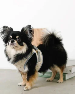 MONCHERI Padded Ice Cream Cone Dog Harness + Lead Set 12 MONCHERI Padded Ice Cream Cone Dog Harness + Lead Set -Pet Sale Shop 38 f2e43583 a46e 40c4 b9bb c979fd860f4e