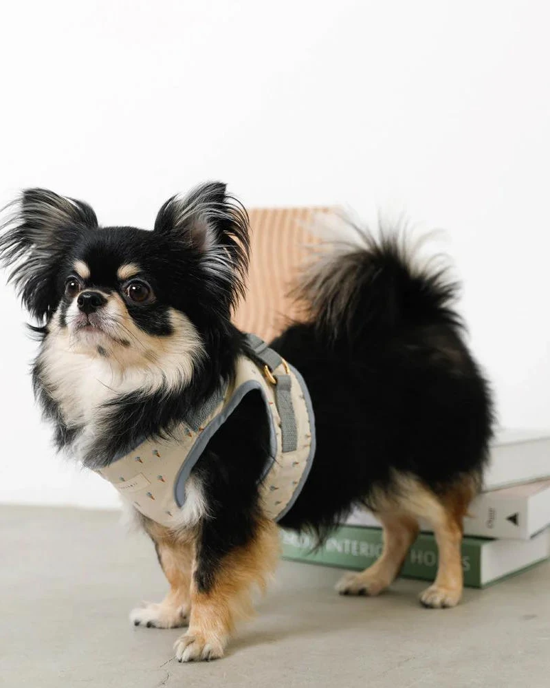 MONCHERI Padded Ice Cream Cone Dog Harness + Lead Set 3 MONCHERI Padded Ice Cream Cone Dog Harness + Lead Set - Image 3