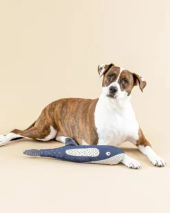 PETSHOP There She Blows Canvas Whale Dog Toy 10 PETSHOP There She Blows Canvas Whale Dog Toy -Pet Sale Shop 39 8d6eac6b 6bf6 481c ab68 e22b063c9ac9