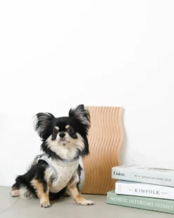 MONCHERI Padded Ice Cream Cone Dog Harness + Lead Set 13 MONCHERI Padded Ice Cream Cone Dog Harness + Lead Set -Pet Sale Shop 39 c075b017 916a 4b50 bc9c a357cc1a046d