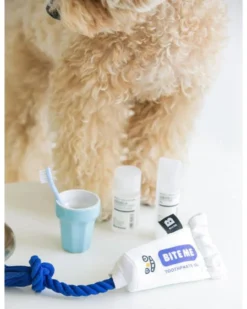 BITE ME Toothpaste Gel Dog Toy -Pet Sale Shop 3 086b0e0b 9c9b 482f 86f2 594c4625ad42