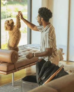 TAVO PET Maeve™ + Roscoe™ 3-in-1 Pet Stroller & Car Seat -Pet Sale Shop 3 1be8b2c0 45fd 4975 8cae 250f4b0b2079