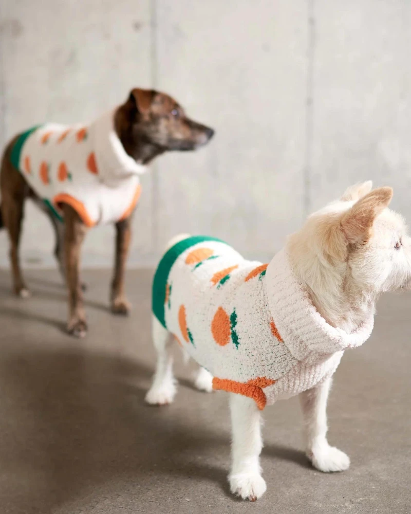 THE FURRYFOLKS Orange Dog Sweater 1 THE FURRYFOLKS Orange Dog Sweater