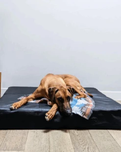 LE DOG Orthopedic & Cooling Leather Dog Bed (Drop-Ship) -Pet Sale Shop 3 2393e951 14d5 49bc 9fad 566be37ebfe7