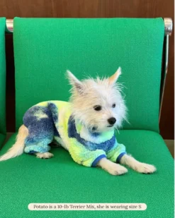 LITTLE BEAST It's Groovy Baby Fleece Tie-Dye Onesie (FINAL SALE) -Pet Sale Shop 3 27166396 1261 48a3 b73d fb7566b89d24