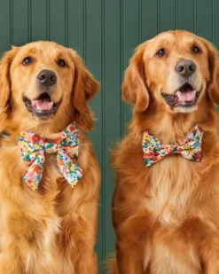 THE FOGGY DOG Rifle Paper Co. X TFD Garden Party Spring Dog Bow Tie (Made In The USA) -Pet Sale Shop 3 274b2786 fbe6 407e a7d0 24df5bfbd23d