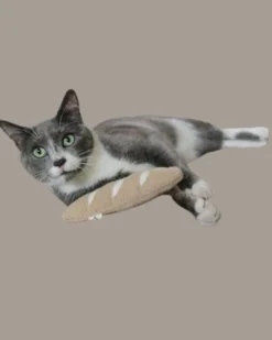 CROCHET KITTY Mini French Baguette With Catnip (Made In The USA) -Pet Sale Shop 3 2a080bde 2dd1 4aa8 8e2c 52484fec0ffa