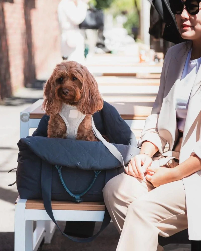 FUZZYARD Multipurpose Carrier & Car Seat 7 FUZZYARD Multipurpose Carrier & Car Seat - Image 7