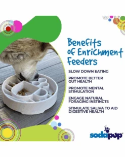 SODA PUP Java Slow Feeder Dog Bowl (Made In The USA) 6 SODA PUP Java Slow Feeder Dog Bowl (Made In The USA) -Pet Sale Shop 3 31834ec4 d921 4f7d 8964 2ed4b5d6f0e1