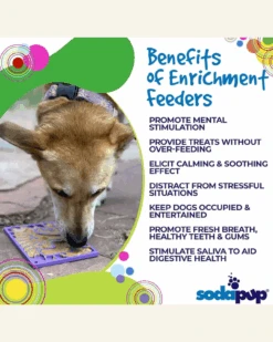 SODA PUP Groovy Love Enrichment Lick Mat (Made In The USA) -Pet Sale Shop 3 3606b1ec 34c4 476b 8e30 fdf52c82b2cb