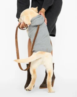 BROCHU WALKER The Cashmere Dog Hoodie Dog & Co X Brochu Walker Exclusive -Pet Sale Shop 3 396744f6 4c62 4487 bfea 9b27766dc9fd