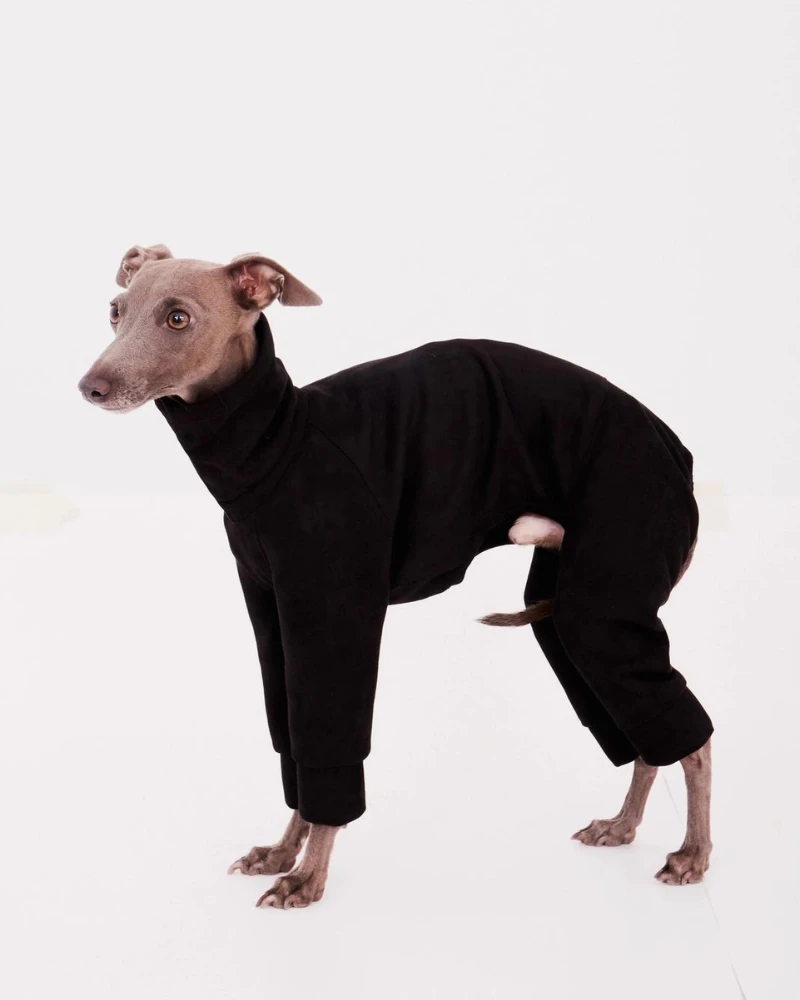 FORGALGO Dog Onesie In Black 1 FORGALGO Dog Onesie In Black