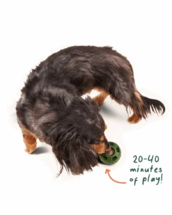 WOOF Long Lasting Pupsicle Refill Pops (Made In The USA) 9 WOOF Long Lasting Pupsicle Refill Pops (Made In The USA) -Pet Sale Shop 3 561534db ed0b 47ad 8908 e1d4f596f546