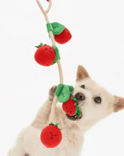 THE FURRYFOLKS Cherry Tomato Nose Work & Tug Dog Toy 14 THE FURRYFOLKS Cherry Tomato Nose Work & Tug Dog Toy -Pet Sale Shop 3 59aad618 6cfe 4104 bf5e d57c997457f5