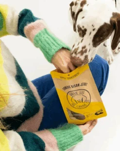 WINNIE LOU Turmeric Bison Jerky Dog Treat -Pet Sale Shop 3 656d7247 687d 44bc 89f4 47adef3007e9