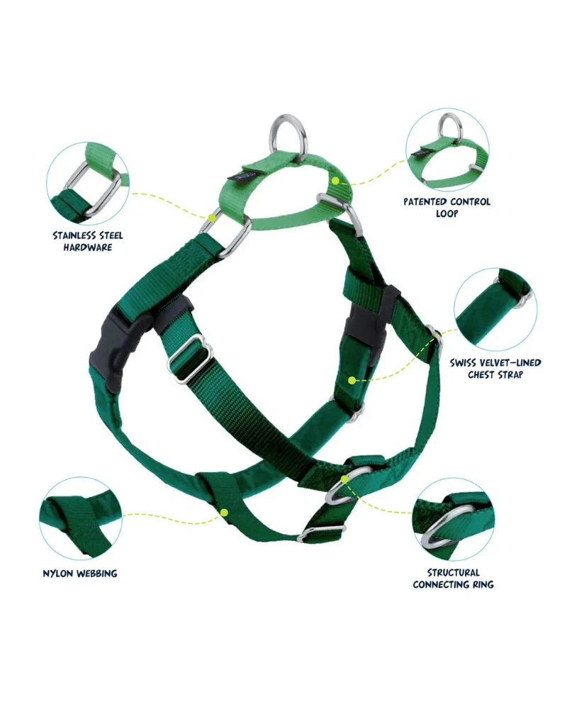 2 Hounds Design Freedom No-Pull Harness In Kelly Green (Made In The USA) (FINAL SALE) 7 2 Hounds Design Freedom No-Pull Harness In Kelly Green (Made In The USA) (FINAL SALE) - Image 7