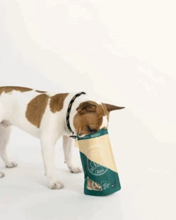 WINNIE LOU Greens & Cheddar Pretzels -Pet Sale Shop 3 77d4faa3 fe42 41d3 a401 36a0884271ce