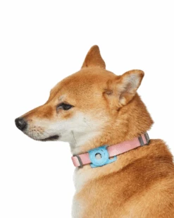 Pet Sale Shop -Pet Sale Shop 3 7d36db8a b984 458a ae92 b3f8ff0c299e