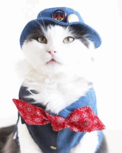 ICECREAMTREE STUDIO Denim Pet Bucket Hat (Made In The USA) -Pet Sale Shop 3 802ab73d fff4 4156 b526 c0f58808bb38