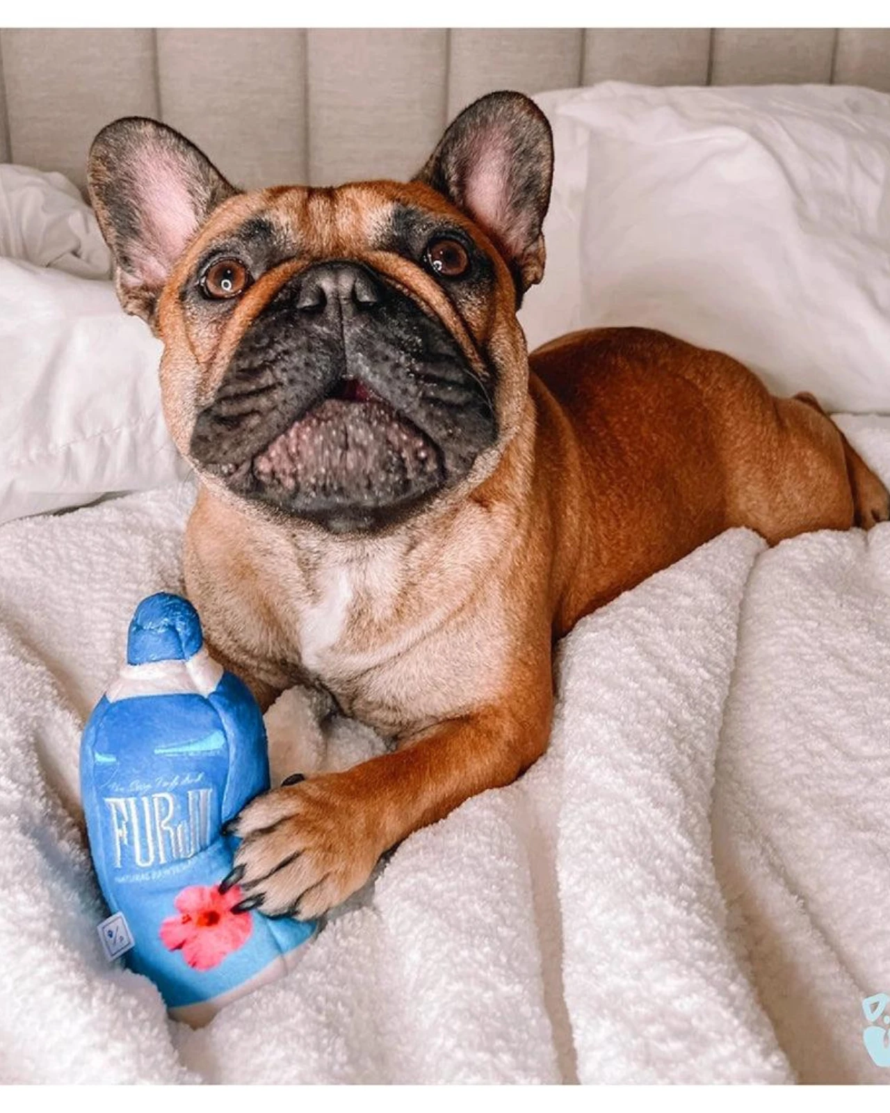 PAWTY DOG TOYS Furji Squeaky Plush Dog Toy 4 PAWTY DOG TOYS Furji Squeaky Plush Dog Toy - Image 4