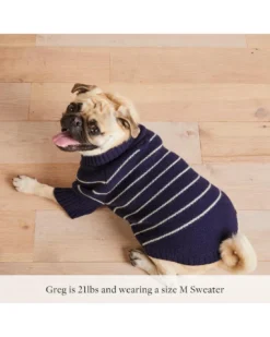 THE FOGGY DOG Mariner Stripe Dog Sweater -Pet Sale Shop 3 8813aef3 1de2 4a80 8888 05229f242aa9