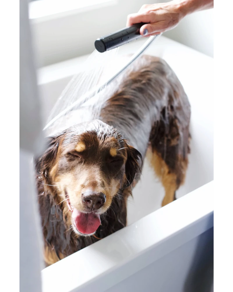 PURE + GOOD Purifying Conditioner For Dogs & Cats In Lavender + Chamomile 5 PURE + GOOD Purifying Conditioner For Dogs & Cats In Lavender + Chamomile - Image 5