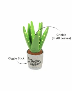 P.L.A.Y. Aloe You Vera Much Squeaky Dog Toy -Pet Sale Shop 3 92c5e7bd 01f6 4392 8a47 21ea72f8d7d7