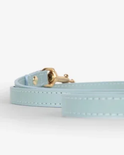 BRANNI Sky Blue Nara Leather Dog Leash With Brass Hardware (Made In Italy) 13 BRANNI Sky Blue Nara Leather Dog Leash With Brass Hardware (Made In Italy) -Pet Sale Shop 3 967f72ea 5987 4f51 9398 6efcb8c6c9c0