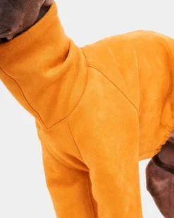 FORGALGO Long Sleeve Dog Turtleneck In Yellow (FINAL SALE) -Pet Sale Shop 3 a60e8bdd d95a 4798 b294 5e6406bf2b90