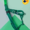 2 Hounds Design Freedom No-Pull Harness In Kelly Green (Made In The USA) (FINAL SALE)