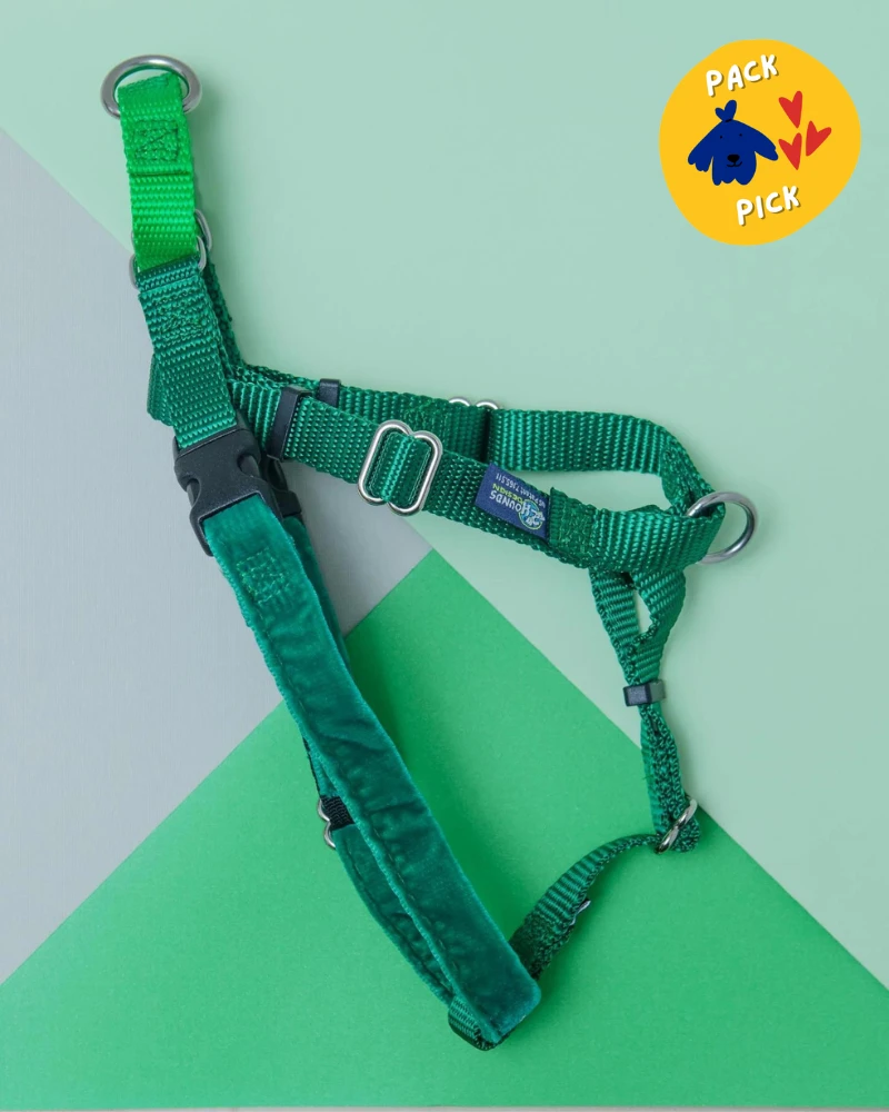 2 Hounds Design Freedom No-Pull Harness In Kelly Green (Made In The USA) (FINAL SALE) 1 2 Hounds Design Freedom No-Pull Harness In Kelly Green (Made In The USA) (FINAL SALE)
