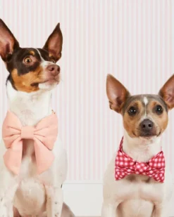 THE FOGGY DOG Raspberry Gingham Dog Bow Tie (Made In The USA)