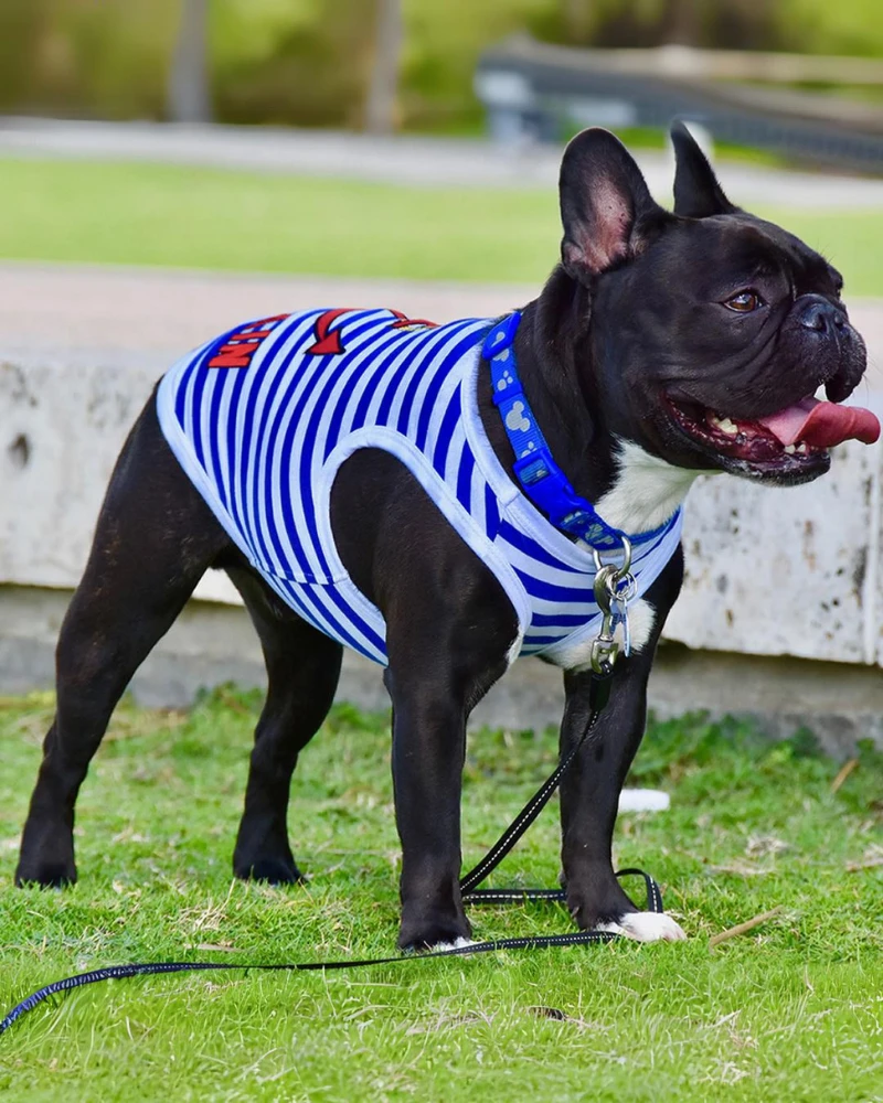 PARISIAN PETS Captain Dog Tank Top In Blue & White Stripe 4 PARISIAN PETS Captain Dog Tank Top In Blue & White Stripe - Image 4