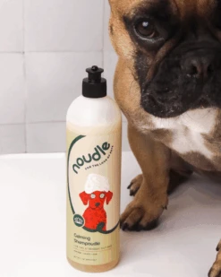 NOUDLE Calming Shampoudle In Lavender & Vanilla Scent (Cruelty Free & Vegan) 8 NOUDLE Calming Shampoudle In Lavender & Vanilla Scent (Cruelty Free & Vegan) -Pet Sale Shop 3 d28589b9 1950 4fc3 b8d0 68fa35d7d960