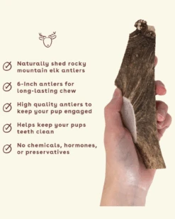 PUPFORD Split Elk Antler Dog Single Chew -Pet Sale Shop 3 d8bde319 90c3 4da8 9893 84a65eb9dba1