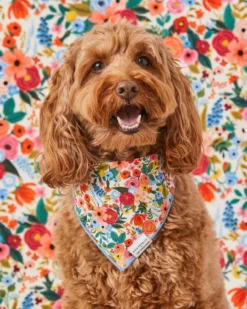THE FOGGY DOG Rifle Paper Co. X Tfd Garden Party Spring Dog Bandana (Made In The USA) 9 THE FOGGY DOG Rifle Paper Co. X Tfd Garden Party Spring Dog Bandana (Made In The USA) -Pet Sale Shop 3 db52b6e5 d08d 4a43 8f23 c7b5f64bda2f
