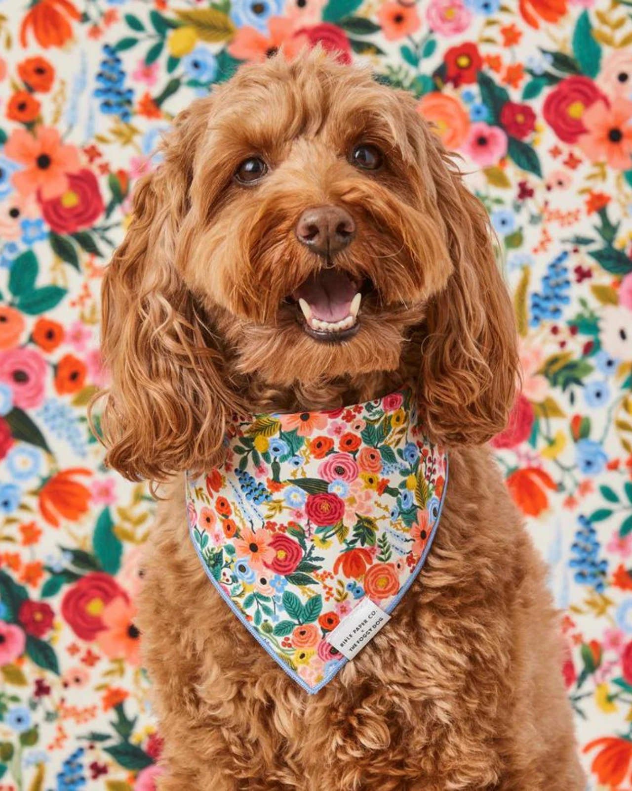 THE FOGGY DOG Rifle Paper Co. X Tfd Garden Party Spring Dog Bandana (Made In The USA) 5 THE FOGGY DOG Rifle Paper Co. X Tfd Garden Party Spring Dog Bandana (Made In The USA) - Image 5
