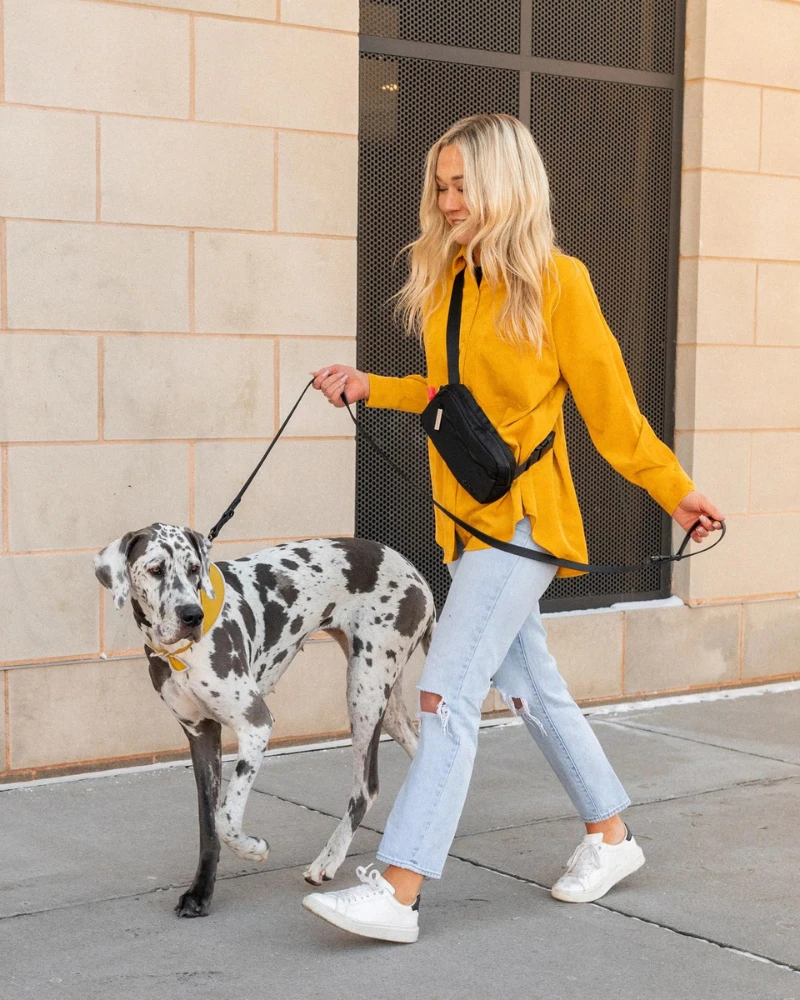 JUNO Doggy Dash Pack Bag 1 JUNO Doggy Dash Pack Bag