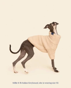 LITTLE BEAST The Pablo Fleece Dog Sweatshirt -Pet Sale Shop 3 ea89b992 5478 4180 960d cdce0b062217