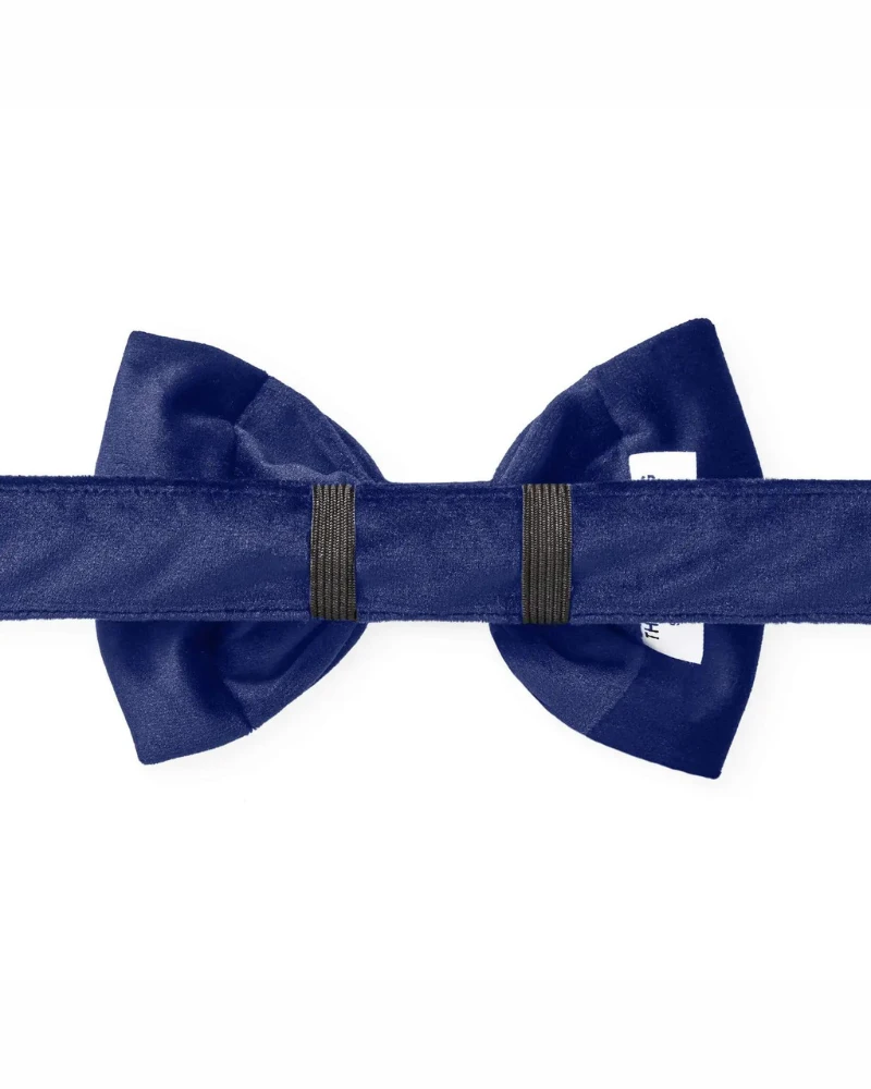 THE FOGGY DOG Navy Velvet Dog Bow-Tie (Made In The USA) 5 THE FOGGY DOG Navy Velvet Dog Bow-Tie (Made In The USA) - Image 5