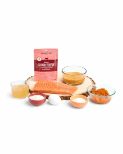 PORTLAND PET FOOD COMPANY Boots' Salmon N' Pumpkin Cat Meal Pouch -Pet Sale Shop 3 fb2ac857 6957 4c2e 9873 4d3d7a113fcb