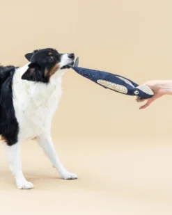 PETSHOP There She Blows Canvas Whale Dog Toy 11 PETSHOP There She Blows Canvas Whale Dog Toy -Pet Sale Shop 40 fc998a07 f357 4fcf a26f bed60e6740a4