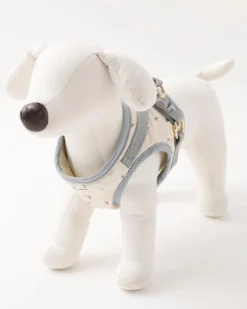 MONCHERI Padded Ice Cream Cone Dog Harness + Lead Set 15 MONCHERI Padded Ice Cream Cone Dog Harness + Lead Set -Pet Sale Shop 41 c3494a76 8ae2 4b07 b360 3ad5b757b06e